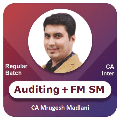 Auditing + FM SM (English)