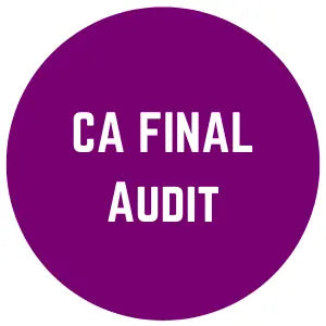 CA-Final-Audit Conferenza