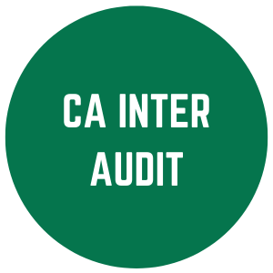 CA Inter Audit